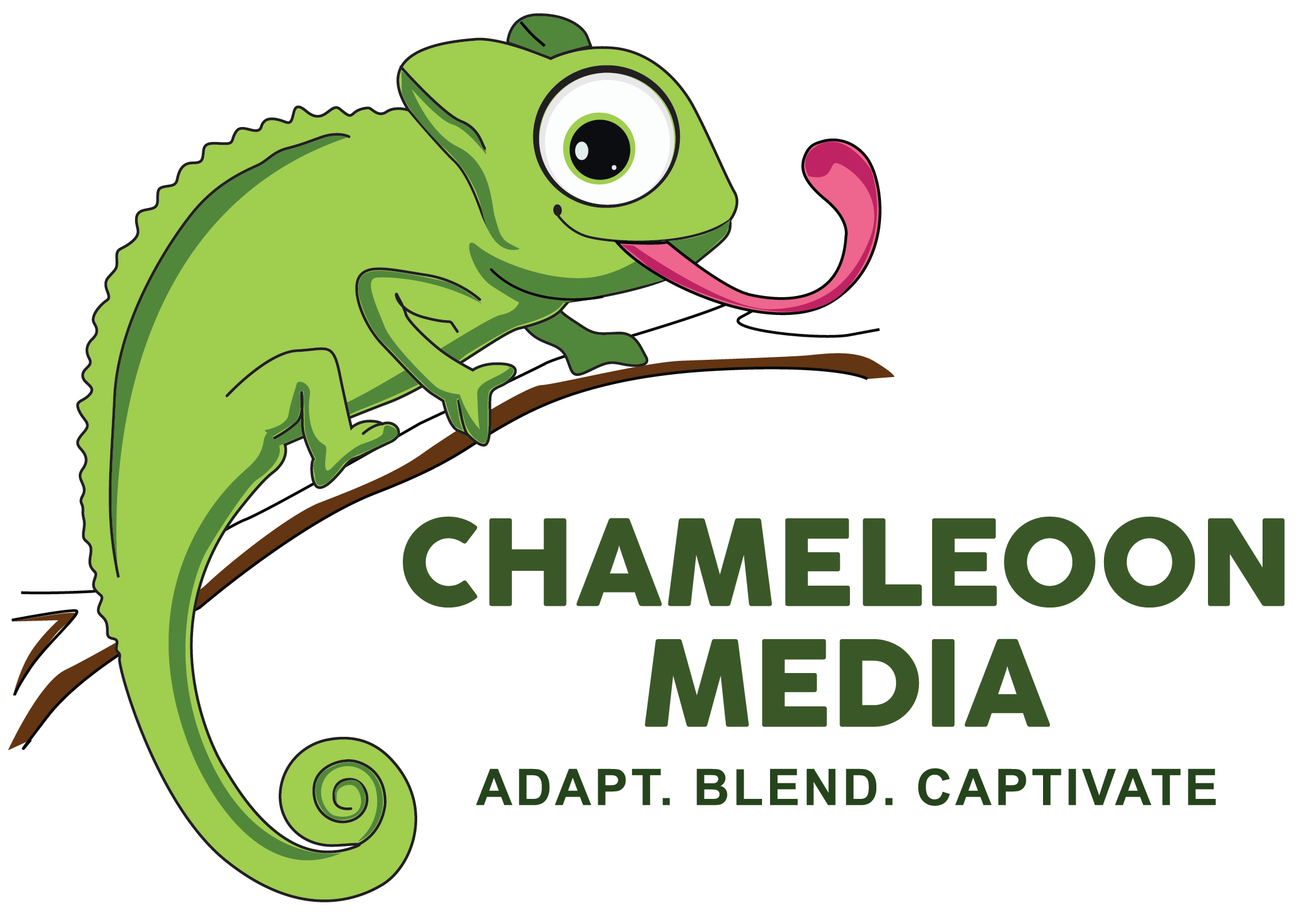 Chameleoon-Media